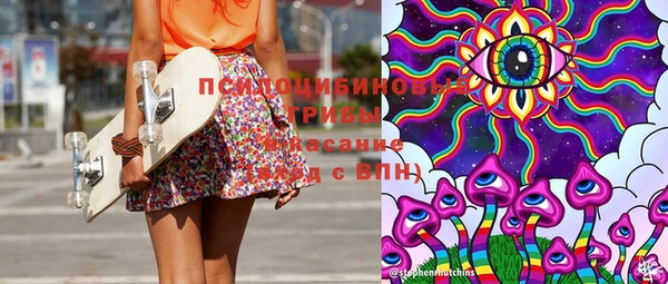 дмт Мегион
