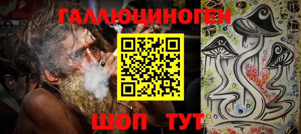 Псилоцибиновые грибы Psilocybine cubensis Пенза