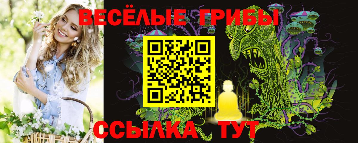 Галлюциногенные грибы Cubensis  Вход с VPN  Галлюциногенные грибы Magic Shrooms  Пенза 