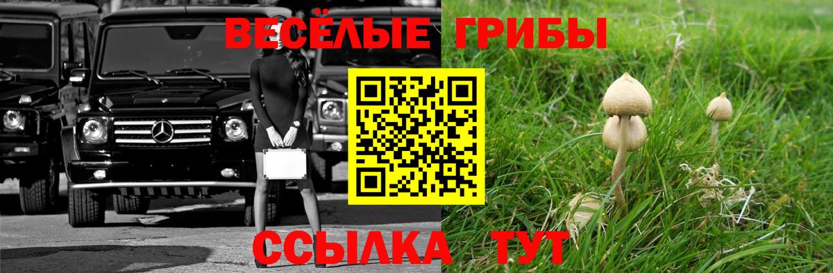 Псилоцибиновые грибы MAGIC MUSHROOMS Пенза